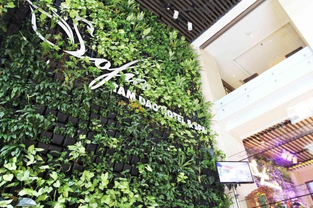 Thang Loi Tam Dao Hotel Εξωτερικό φωτογραφία